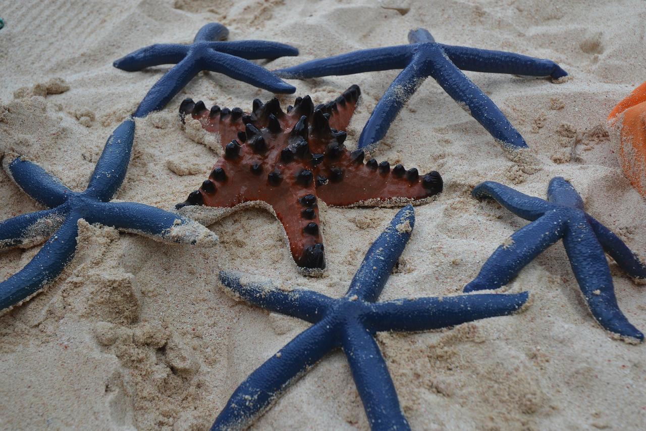 פוארטו גאלרה Bamboo Beach Resort מראה חיצוני תמונה