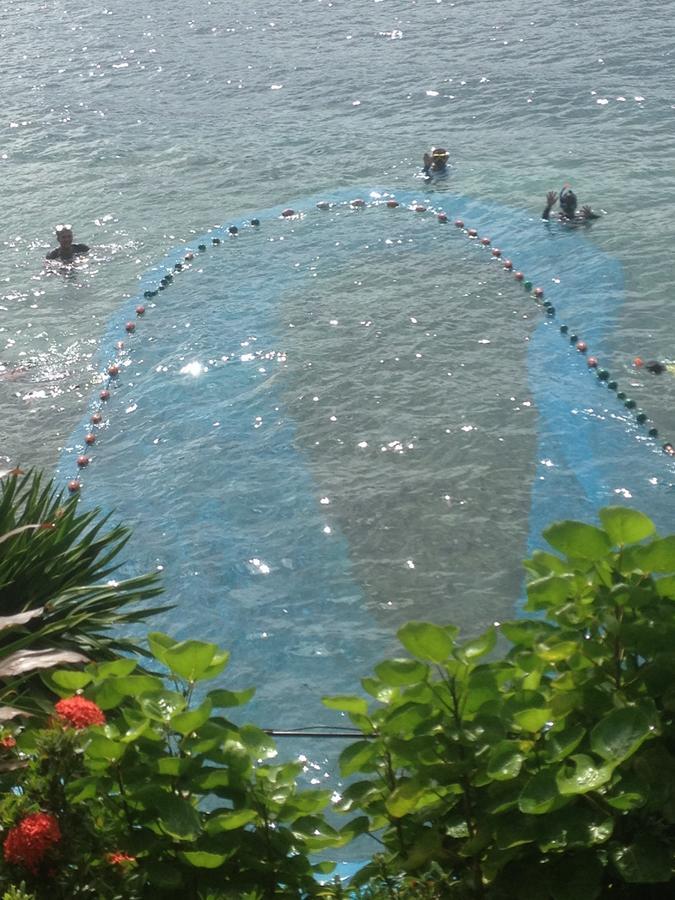 פוארטו גאלרה Bamboo Beach Resort מראה חיצוני תמונה